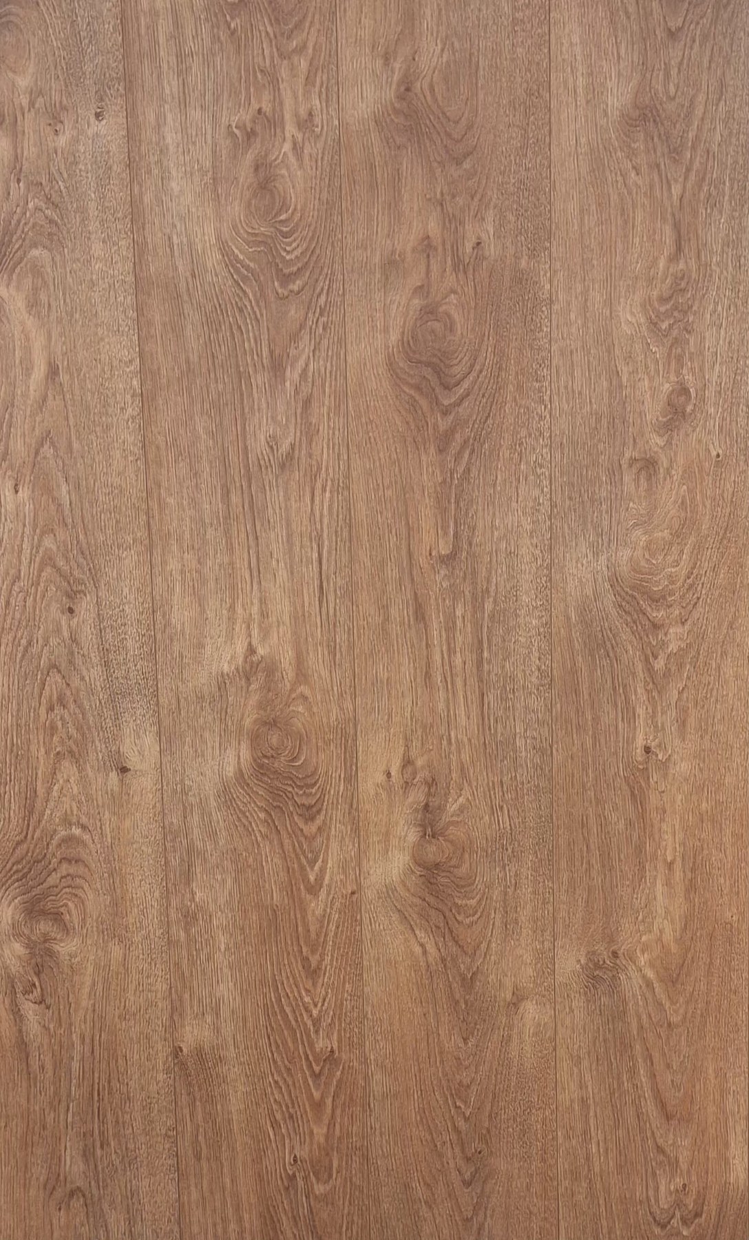 Tarbek Oak